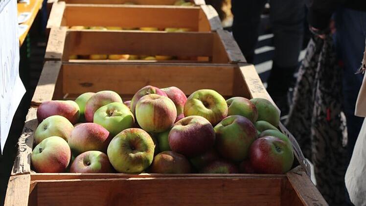 Burgebrach: J&auml;hrlicher Apfelmarkt lockt mit buntem Programm - "vielf&auml;ltige regionale Spezialit&auml;ten"
