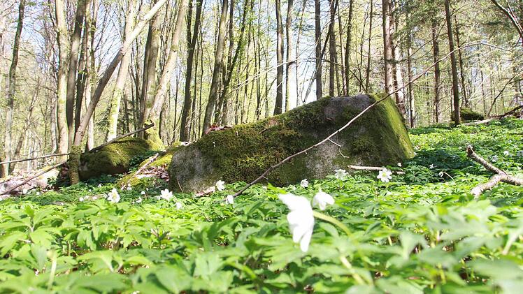 Unterwegs in der Kernzone "Reithmühle" in der Gemeinde Oberthulba Foto: Carmen Schmitt