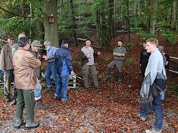 Pflanzaktion geplant: Einhellige Zustimmung erhielt der Bericht des Revierförsters Maik Despang im Gemeinderat. Foto: Gerd Schaar
