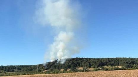 So hat der Waldbrand bei Staffelbach begonnen und  war von der A 70 aus zu erkennen. Foto: privat
