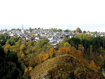 Die Wälder rund um Nordhalben sind  für den Schwarzstorch ein ideales Quartier.  Foto: Archiv/Barbara Herbst