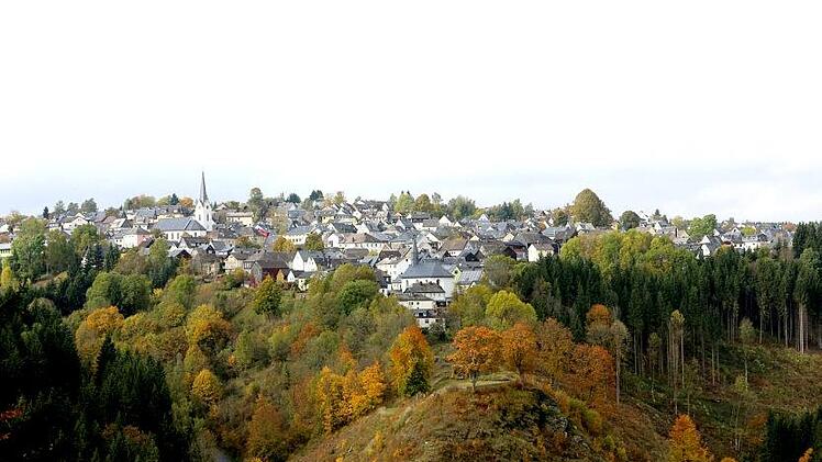 Die Wälder rund um Nordhalben sind  für den Schwarzstorch ein ideales Quartier.  Foto: Archiv/Barbara Herbst