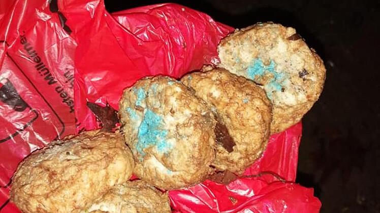 Ein Hundebesitzer fand beim Gassigehen verdächtige Hackfleischbällchen. Hund "Benny" hatte bereits einen der Hundeköder im Maul. Foto: privat