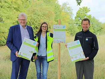 Stadtwerke Bayreuth bewirtschaften Flächen naturnah