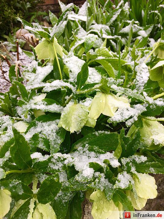 Franken: Ostermontag versinkt im Schnee