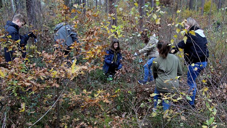 Realschüler bei der Waldarbeit Richard Sänger