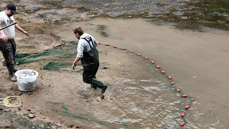 Kirchensittenbach: Kurz vor Karpfen-Saison - Fischz&uuml;chter wegen D&uuml;rre "am Schnaufen"