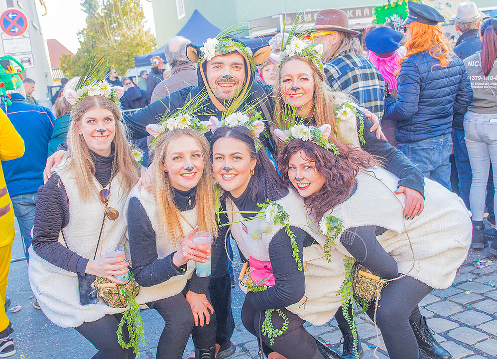 Allersberg feiert Fasching!