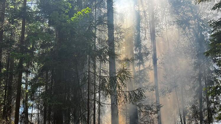 Waldbrand bei Baiersdorf: Feuerwehr mit Großaufgebot im Einsatz