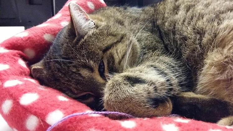 Pause muss sein!Foto: privat