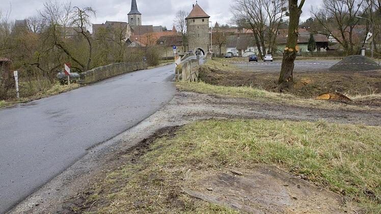 Baum vor dem Geyersberger Tor vorher Foto: Bettina Knauth