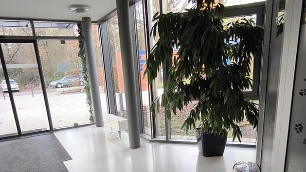 Tierheim Nürnberg berichtet von unfassbarer Geschichte - "Dafür fehlen uns einfach die Worte"