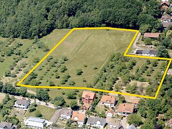 In den gelb markierten Bereich soll ein neues Wohngebiet entstehen. Dagegen kämpft die Bürgerinitiative "Schützt die Reuther Hänge". Luftaufnahme: Stadtplanungsamt