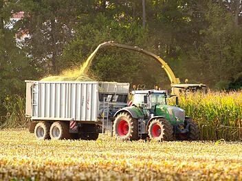 Maisernte im Landkreis Bamberg: Klimaexperten gehen davon aus, dass bis zum Jahr 2080 bis zu 60 Prozent der aktuellen Pflanzenarten aussterben werden. Foto: RiegerPress