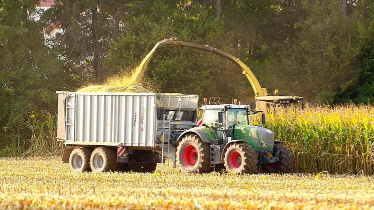 Maisernte im Landkreis Bamberg: Klimaexperten gehen davon aus, dass bis zum Jahr 2080 bis zu 60 Prozent der aktuellen Pflanzenarten aussterben werden. Foto: RiegerPress