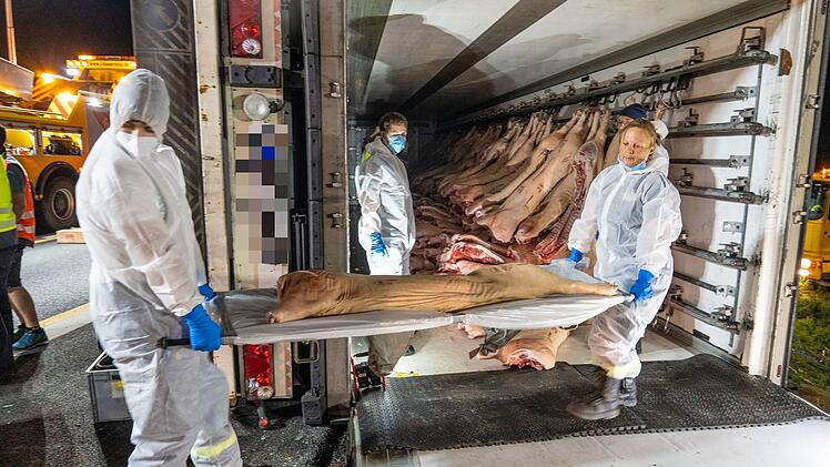 Unfall auf A3: Lkw mit 320 Schweineh&auml;lften kippt um - Einsatzkr&auml;fte werden bei Bergung kreativ