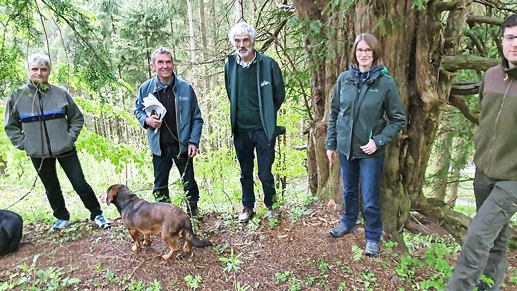 Gemeinsam haben sie ein Bürgerwissenschaftsprojekt initiiert, um die Eibe wieder zurück in den Frankenwald zu bringen. Von links: Birgitta Köhler, Fritz Maier, Gregor Aas, Laura Lachenicht und Erik Jansen.