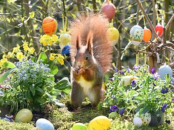 Tipps zur Zeitumstellung