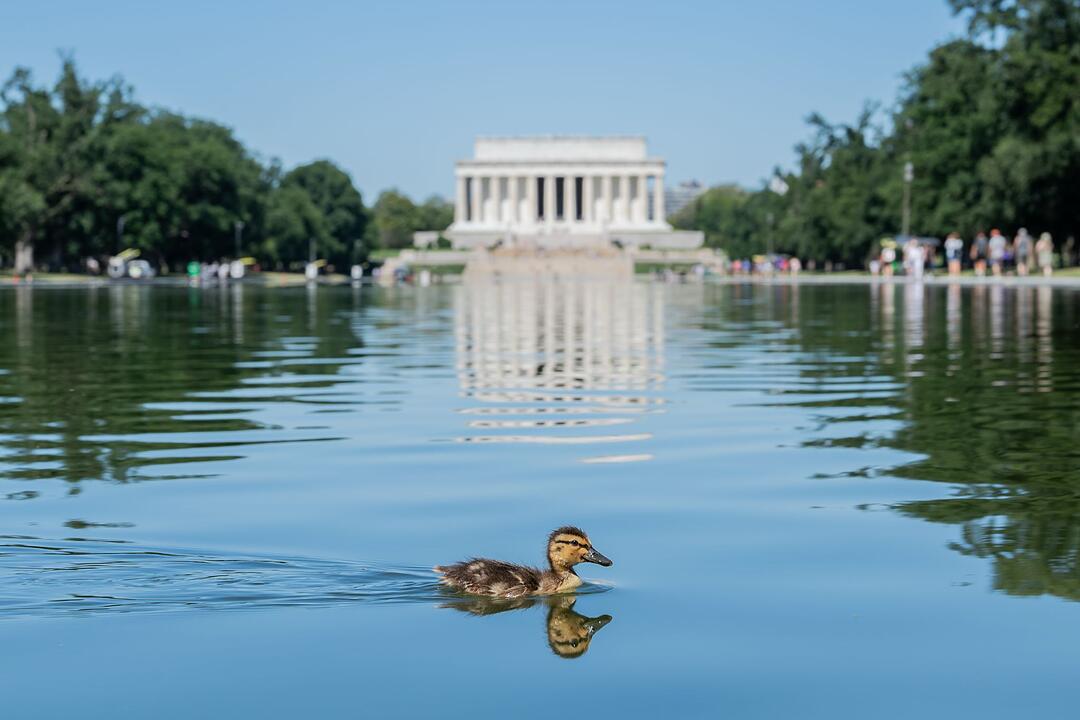 Reflecting Pool am Lincoln Memorial