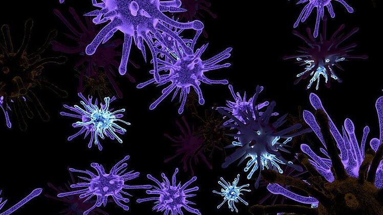 Gefährliches Pferdevirus BoDV-1: Das von Pferden und Schafen bekannte Bornavirus hat in Mittelfranken ein erstes Todesopfer gefordert.Das fanden Forsch heraus. Symbolbild: pixabay.com