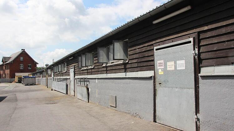 Die Ställe hinterm Schlachthof.