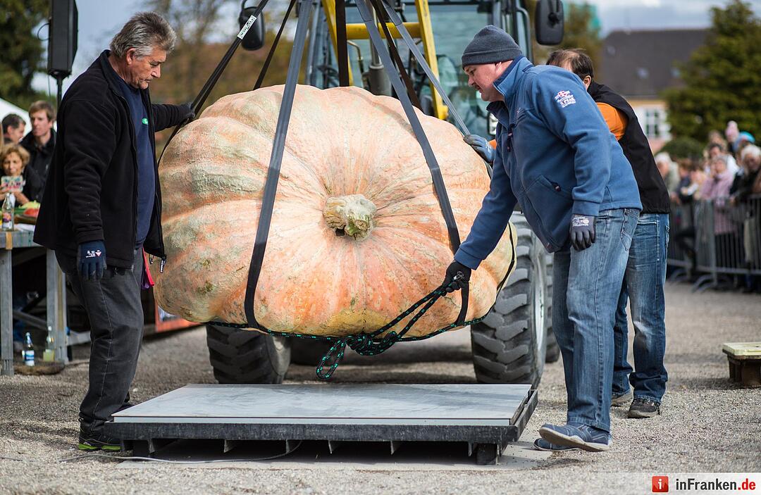 Europameisterschaft im Kürbiswiegen