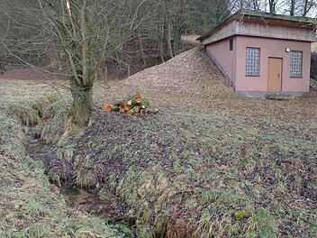 Leise plätschert das Wasser am Zwischenbehälter vorbei. Die Sanierung der Quellen schlägt in Motten jedoch finanziell hohe Wellen.  Foto: Stephanie Elm