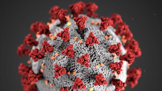 Coronavirus: Kulmbacher Gymnasium  bleibt ab Montag vorsorglich geschlossen