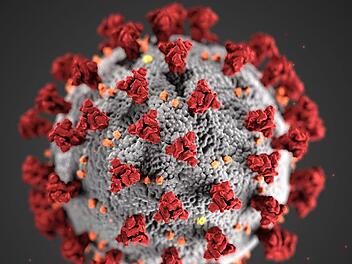 Coronavirus: Kulmbacher Gymnasium  bleibt ab Montag vorsorglich geschlossen