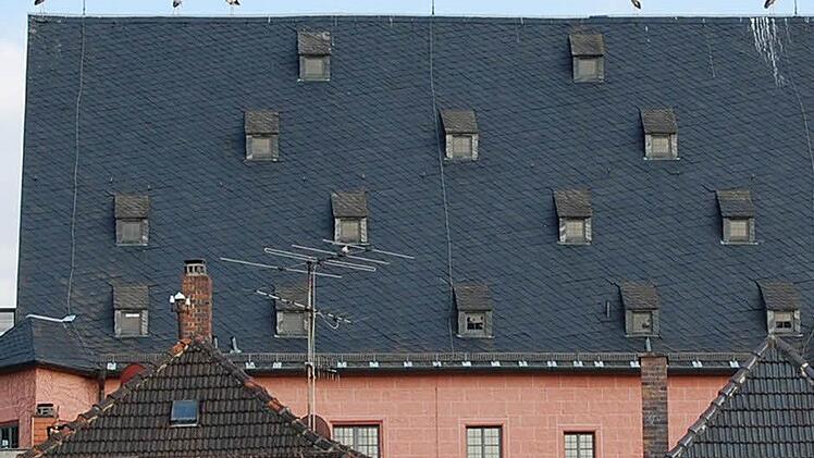 Fünf Störche hatten sich auf dem First des Stadtschlosses niedergelassen