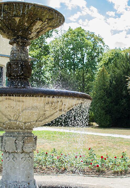 Die schönsten Sommerfotos aus Coburg und Umgebung