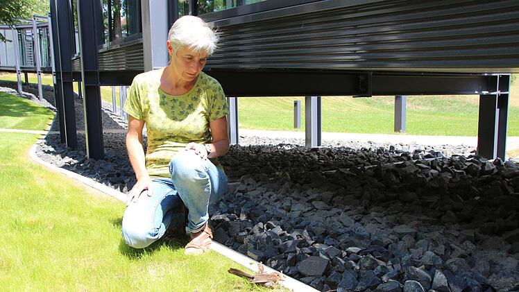 Martina Faber setzt sich f&uuml;r Vogelschutz ein.  Foto: Charlotte Wittnebel-Schmitz