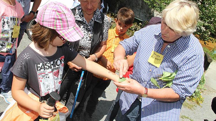 Ein Blatt der Fetten Henne hilft gegen Insektenstiche.