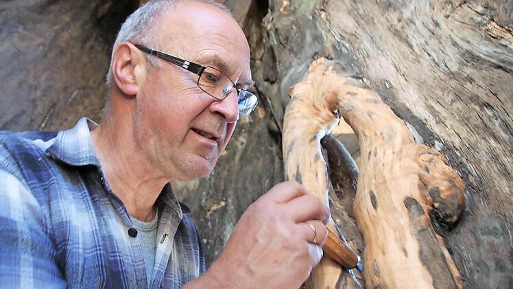 Die hohle Linde hat viele Wucherungen und Knorze. Herbert Holzheimer arbeitet sie jetzt noch heraus und wird einen Teil in einer speziellen Technik vergolden.Foto: Heike Beudert