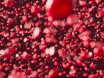 Symbolbild: Blut, Zellen, Krebs, Plasma
