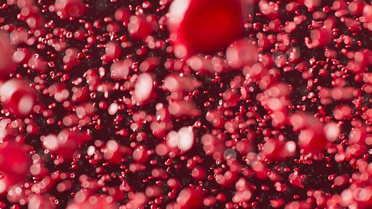 Symbolbild: Blut, Zellen, Krebs, Plasma