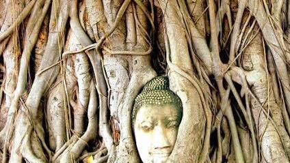 Die Statue wurde von den Wurzeln aus dem Boden gehoben.