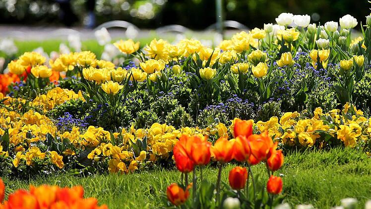 Durch die richtige Gartenpflege können die Pflanzen den ganzen Sommer lang als Schmuck vor dem Haus dienen. Symbolfoto: Oliver Berg/dpa