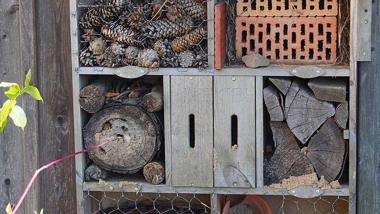 Das alte Insektenhotel wurde von keinerlei Insekten besiedelt.