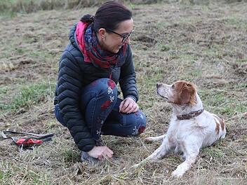 Cap ist ein Vorzeigehund - Petra Eberlein ist stolz auf ihren Cap. Der Bretonische Vorstehhund wurde  als Rassehund in einem Hundebuch und einem Ausbildungswerk verewigt. Foto: Barbara Herbst