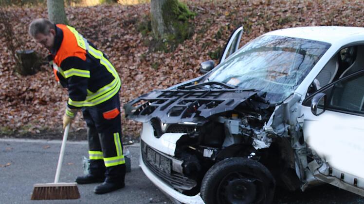 Der demolierte Renault ClioMichael Stelzner