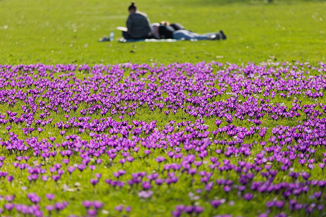 Sonne in D&uuml;sseldorf