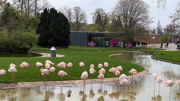 Die Wilhelma ist ein zoologisch-botanischer Garten.