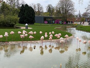 Die Wilhelma ist ein zoologisch-botanischer Garten.