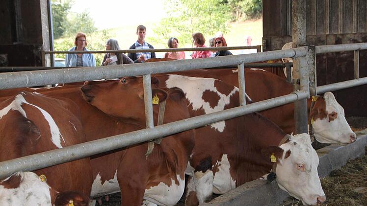 Impressionen vom Grundhof in Breitenbach Foto: Ulrike Müller