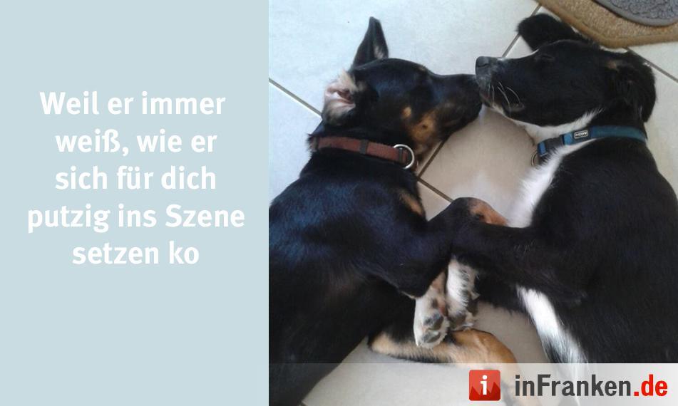 Foto: Carolin Winkler