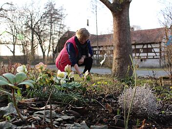 Rosi Beucher genie&szlig;t die sonnigen Stunden im Garten. Bei der Pflege ihrer gr&uuml;nen Oase bekommt sie Unterst&uuml;tzung von Mann Josef. Foto: Yannick Hupfer