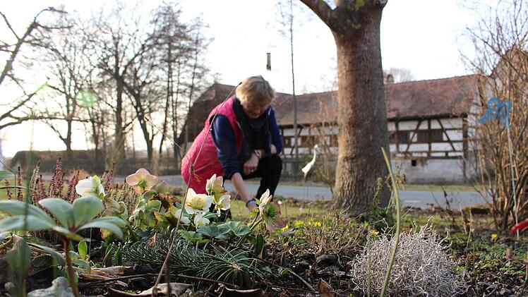 Rosi Beucher genie&szlig;t die sonnigen Stunden im Garten. Bei der Pflege ihrer gr&uuml;nen Oase bekommt sie Unterst&uuml;tzung von Mann Josef. Foto: Yannick Hupfer