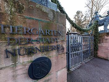 Trauriger Abschied im Tiergarten Nürnberg: Bartgeier-Weibchen gestorben