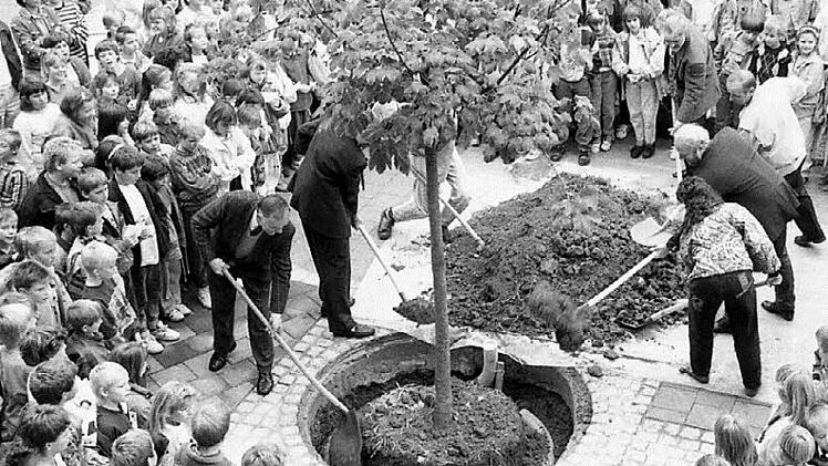 An der Nüdlinger Schule wurde zum 3. Oktober 1990 ein Bergahorn gepflanzt. Kaum einer erinnert sich noch. Foto: Archiv Saale-Zeitung